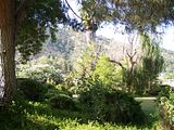 DADSHOUSE016.jpg image by gregperger